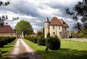 Château de Saint Georges, Saint-Georges-Sur-Moulon